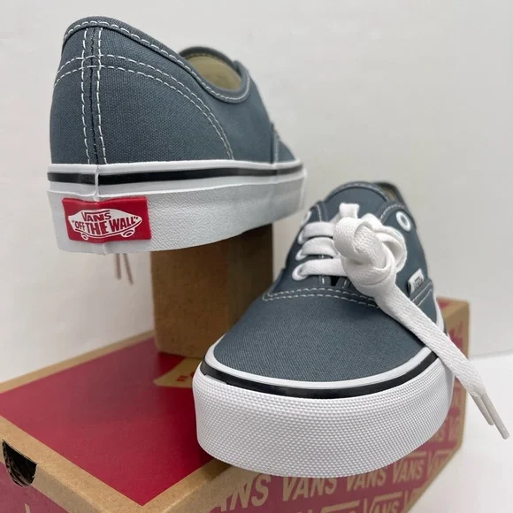 Vans Men’s Authentic Color Theory Stormy WeatherVN000EGARV2 Sneakers